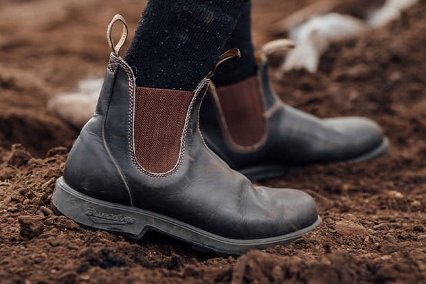 Blundstone Work Safety Footwear